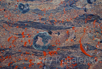 details003