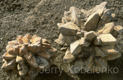 details009