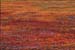 details008