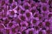 details013
