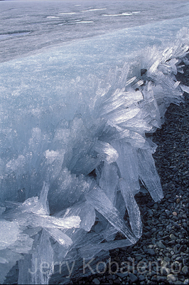 environment008a