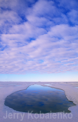 scenics001
