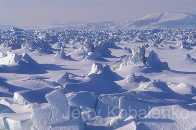 scenics005
