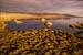 scenics015